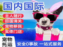锦州机场快运国际宠物托运 【国